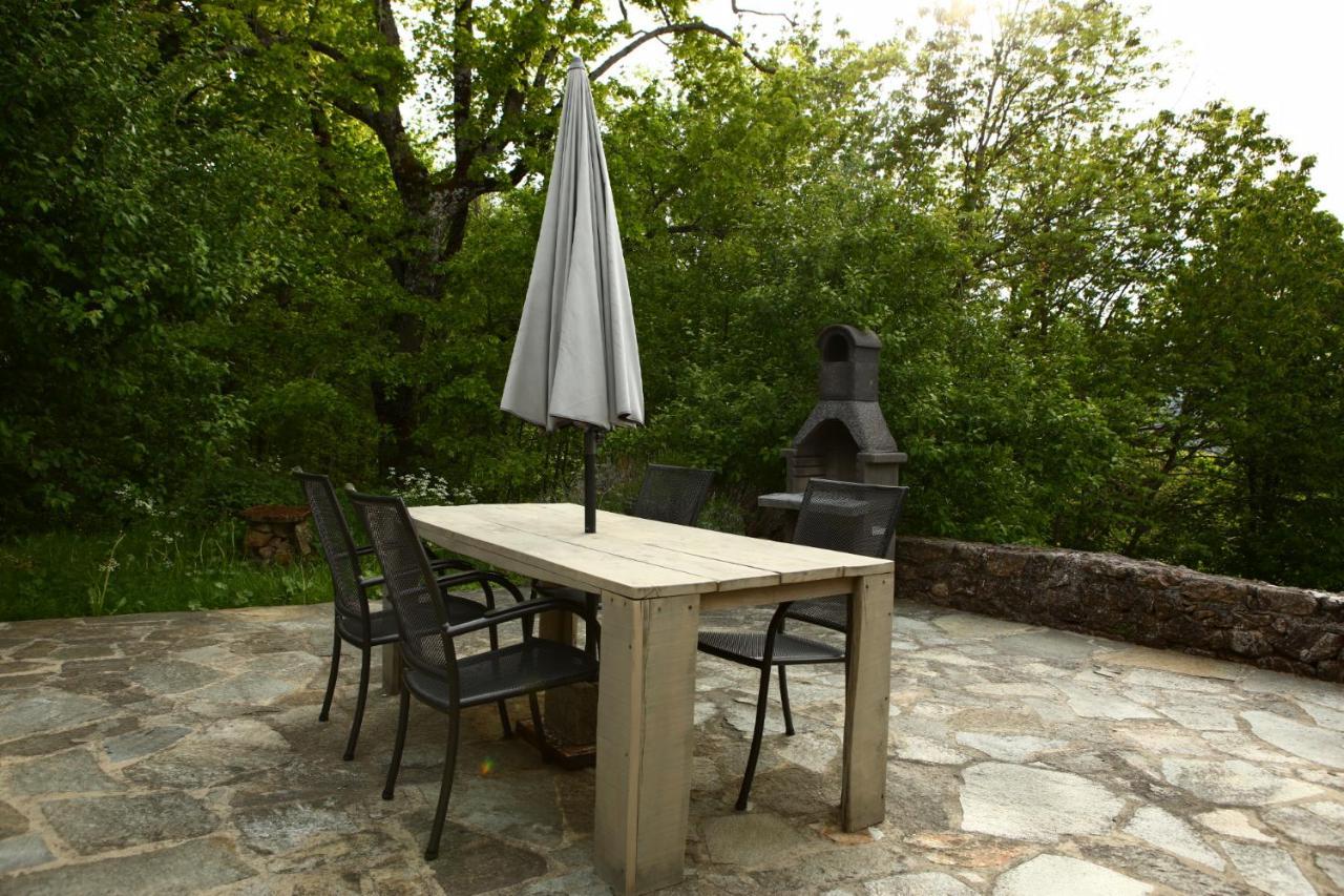 Les Grangeonnes, gîtes nature, piscine, sauna pour accueil familiale ou de groupe Saint-Basile Extérieur photo